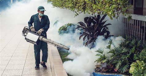 Fogging Treatment