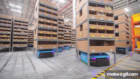 Warehouse pest control services in Delhi NCR
